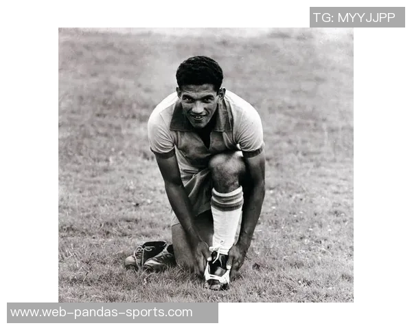 全球足球明星盘点及其成就与影响力分析 全球足球明星盘点及其成就与影响力分析