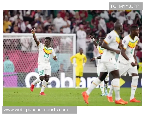 塞内加尔足球队的辉煌历程与未来发展展望 塞内加尔足球队的辉煌历程与未来发展展望